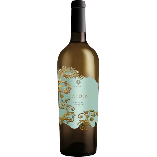 2025 Vernice "Garden" Falanghina IGP